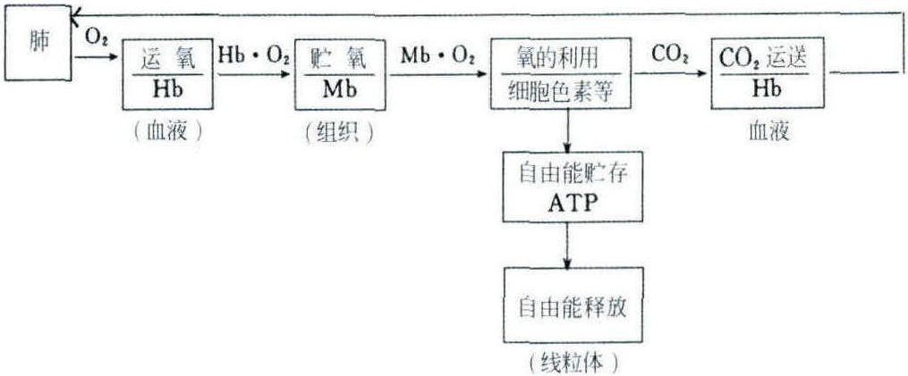 食用蕈菌